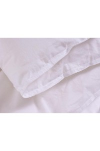 SKBD003 Hotel quilt core Hotel quilt feather velvet quilt core hotel bedding hotel linen factory 160 * 220cm 190 * 220cm 200 * 220cm 220 * 240cm front view